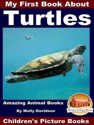 cover image of My First Book About Turtles